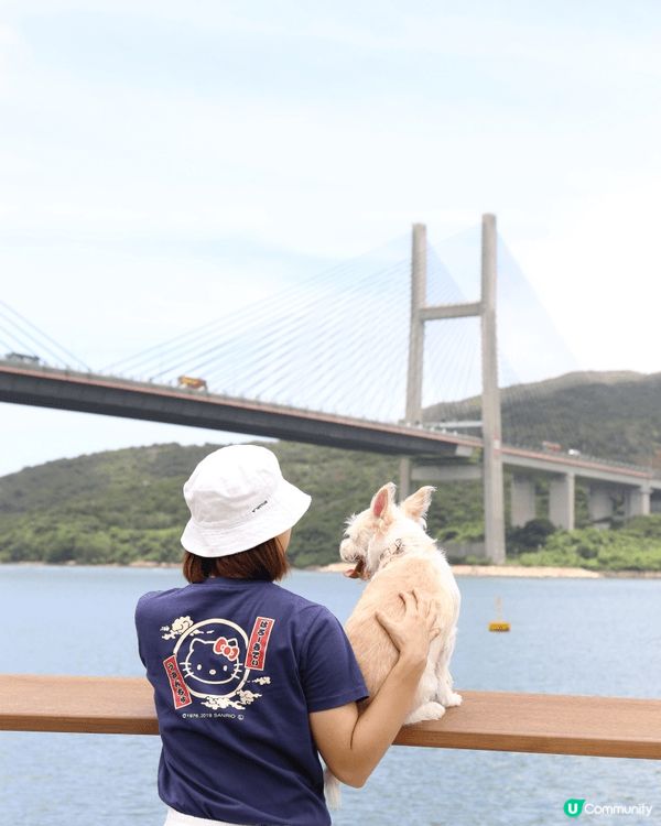 炎炎夏日，帶狗狗去馬灣散步，可以搵間cafe chill下，...