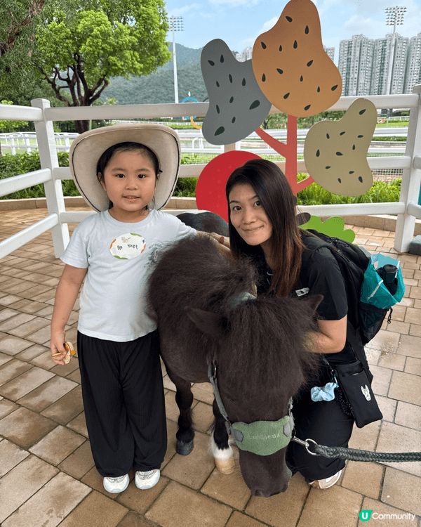 這個夏天去了海洋公園，在馬料水踩單車及參加了賽馬會的小馬大本...