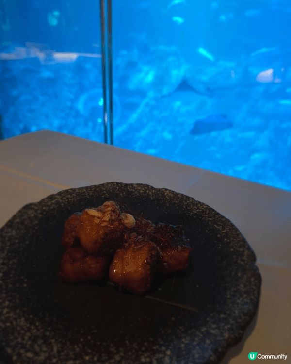 初次體驗海洋公園內的海龍王餐廳。海龍王餐廳是一間水族館餐廳，...