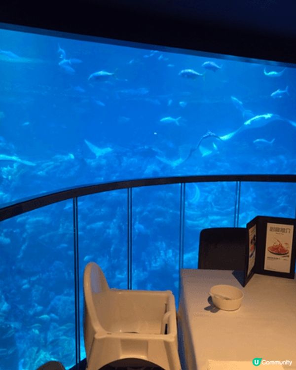 初次體驗海洋公園內的海龍王餐廳。海龍王餐廳是一間水族館餐廳，...