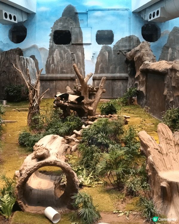 我最喜歡去海洋公園，主打海洋生態、水族館、熊貓館、威威天地、...