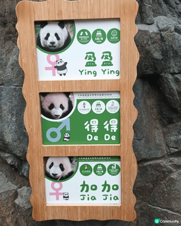我最喜歡去海洋公園，主打海洋生態、水族館、熊貓館、威威天地、...