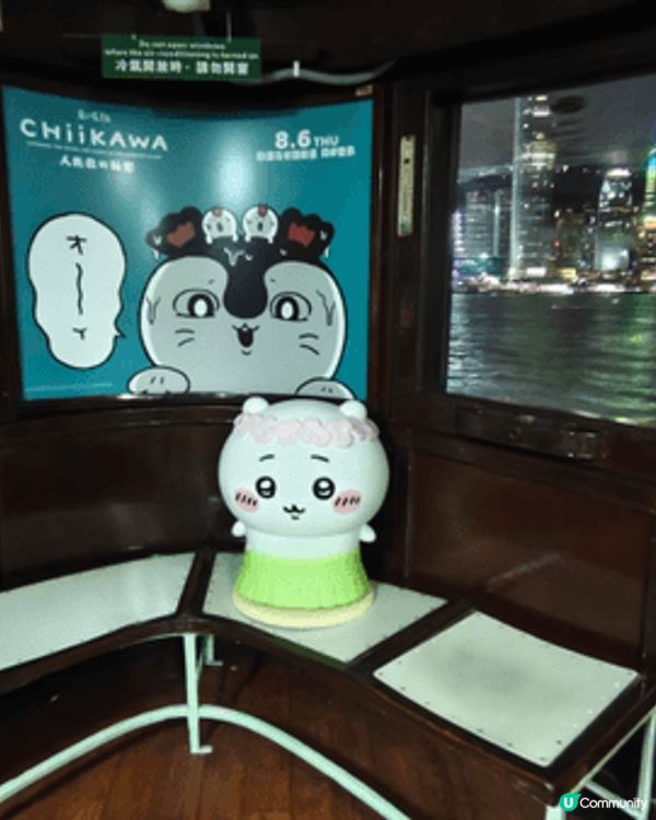 Chiikawa在天星小輪上，坐落不同位置，萌到不行，我真的...