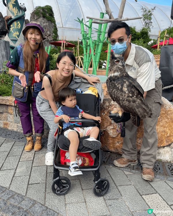 去海洋公園親親貓頭鷹