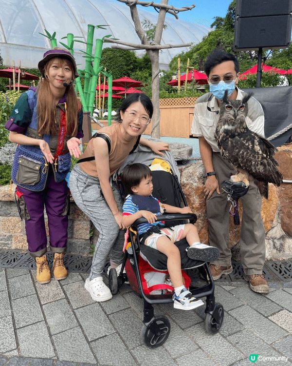 去海洋公園親親貓頭鷹