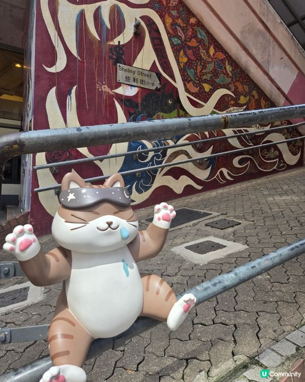 路過隨影