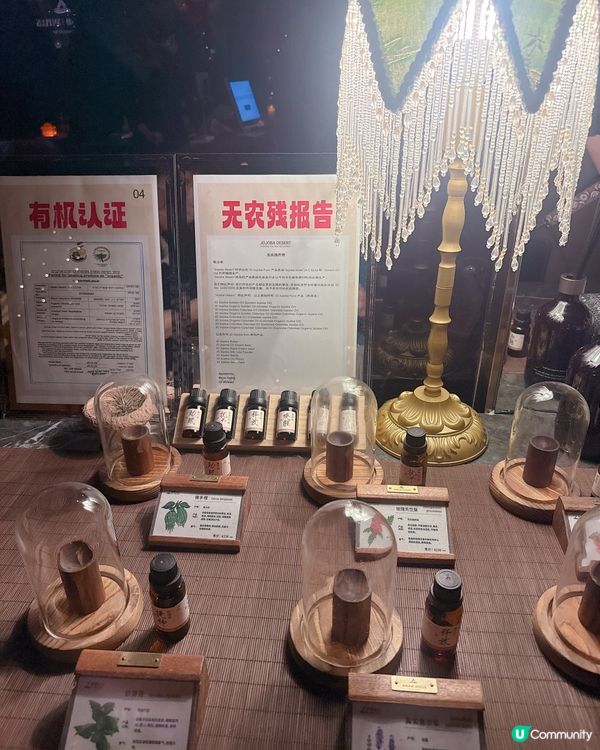 露營風格整頭療
