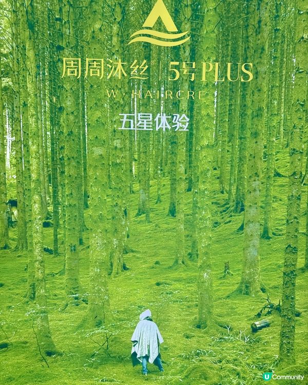 露營風格整頭療