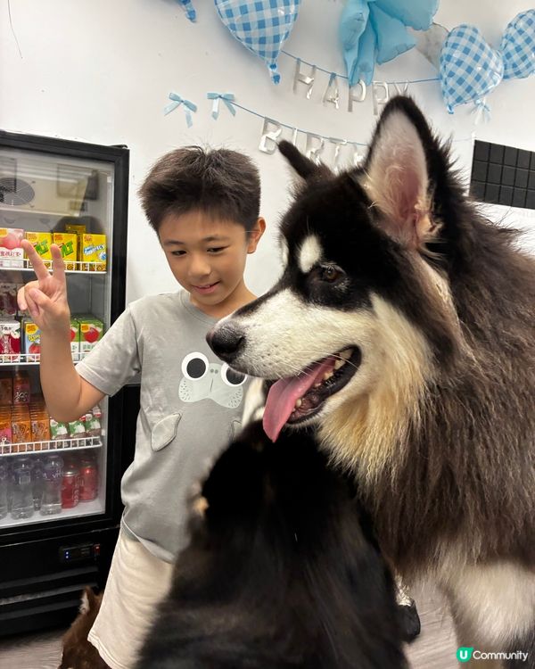 狗仔充電站🐶🐶