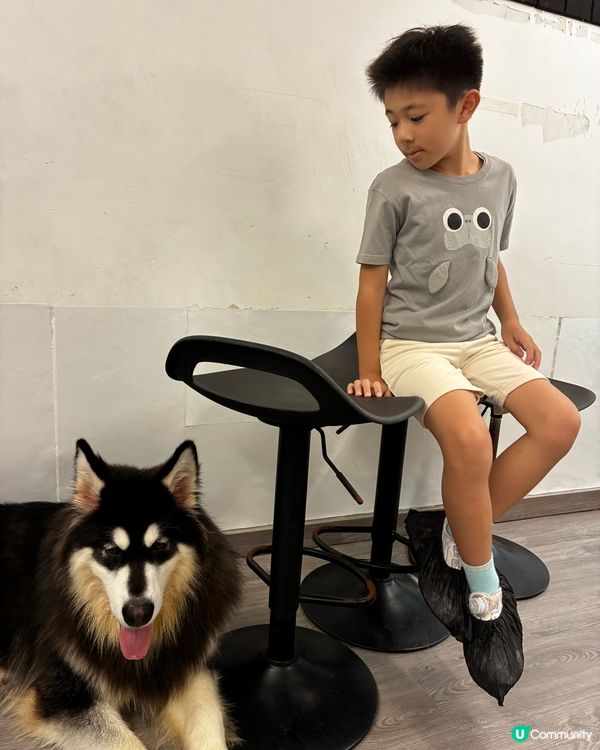 狗仔充電站🐶🐶