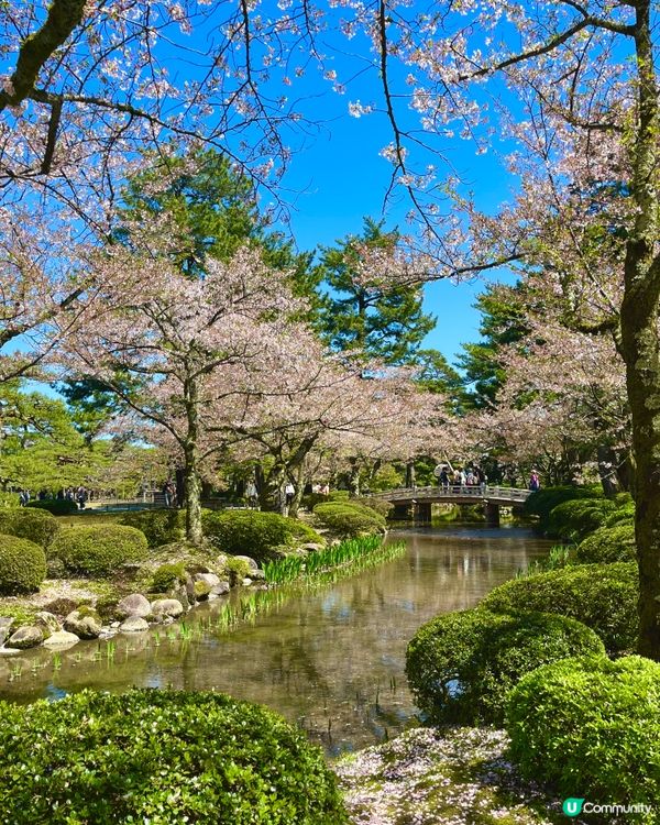 日本三大名園🇯🇵🚶‍♀️ 一步一景捕捉詩意