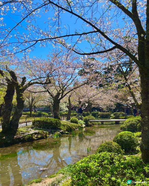 日本三大名園🇯🇵🚶‍♀️ 一步一景捕捉詩意