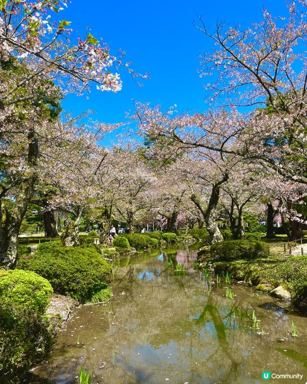日本三大名園🇯🇵🚶‍♀️ 一步一景捕捉詩意