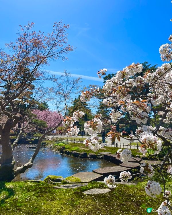 日本三大名園🇯🇵🚶‍♀️ 一步一景捕捉詩意