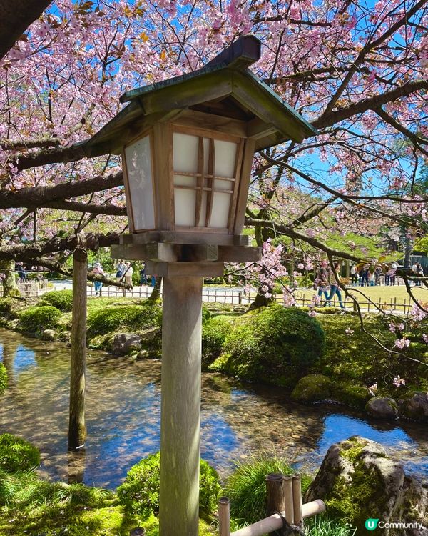 日本三大名園🇯🇵🚶‍♀️ 一步一景捕捉詩意