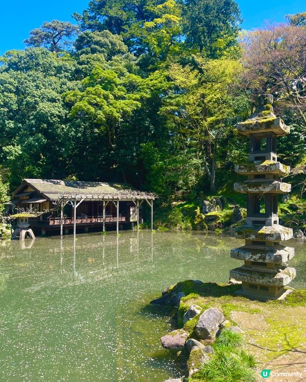 日本三大名園🇯🇵🚶‍♀️ 一步一景捕捉詩意