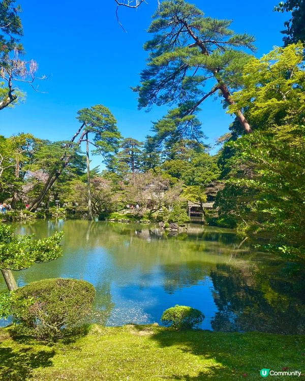 日本三大名園🇯🇵🚶‍♀️ 一步一景捕捉詩意