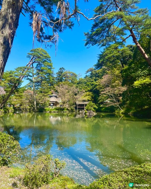 日本三大名園🇯🇵🚶‍♀️ 一步一景捕捉詩意