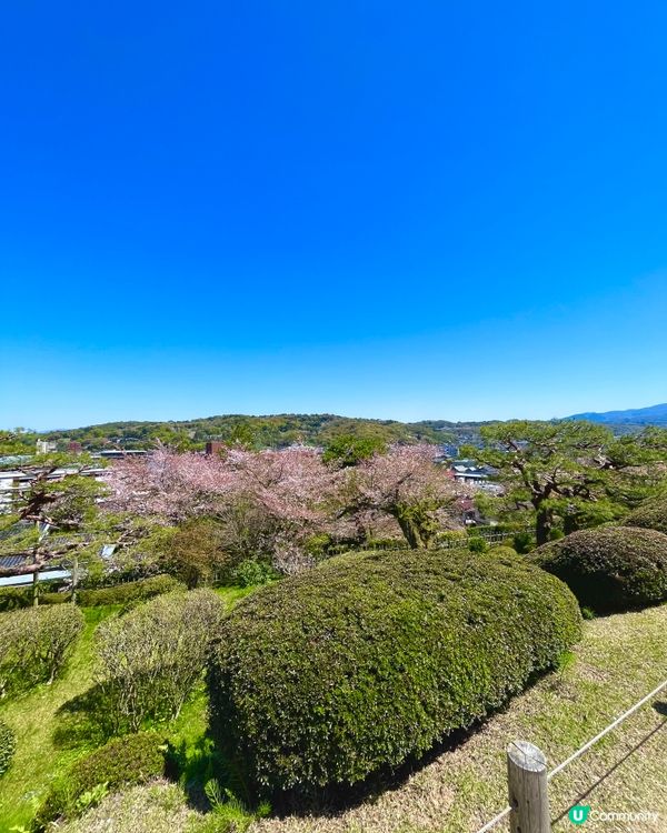 日本三大名園🇯🇵🚶‍♀️ 一步一景捕捉詩意
