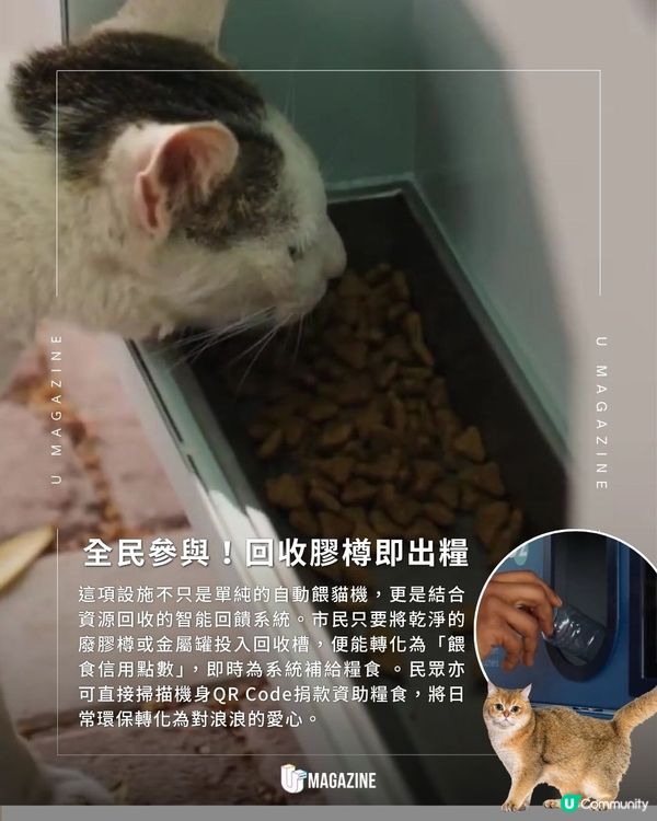 杜拜政府推出智能流浪貓餵食站 ｜用太陽能發電！每日供應300份餐點