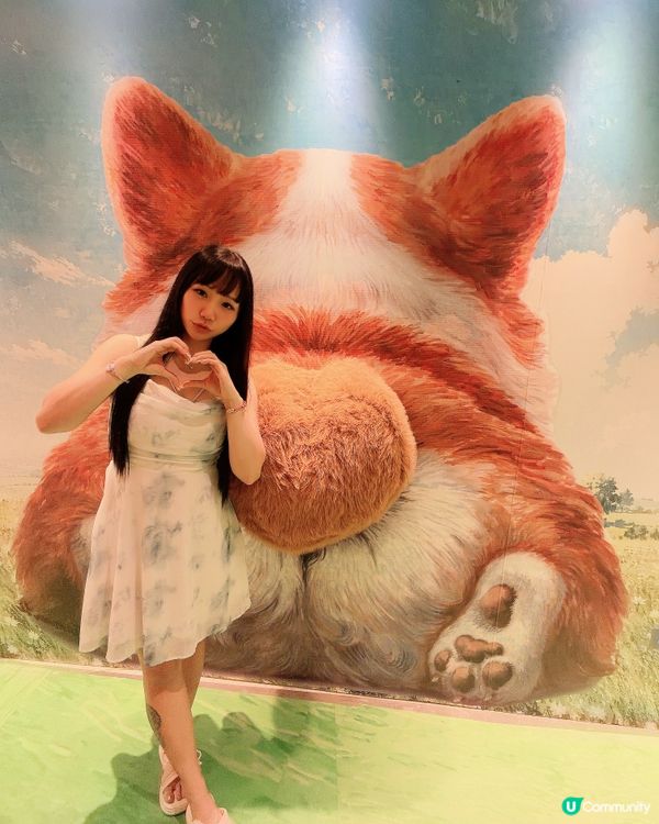 東九龍必去！貓狗藝術天堂！🐾🐈