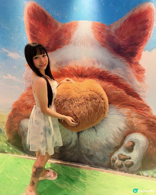 東九龍必去！貓狗藝術天堂！🐾🐈