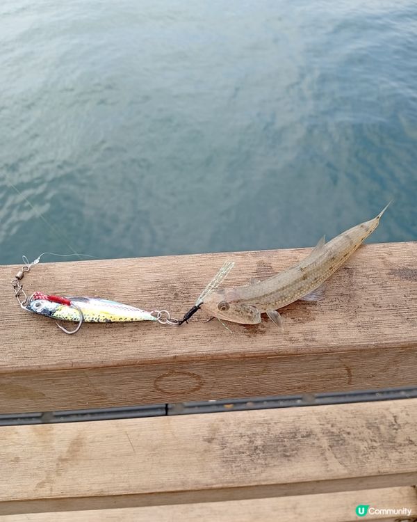 #Chill賞清爽無蚊夏日炎炎去游水最消暑，吹住海風行下海旁...