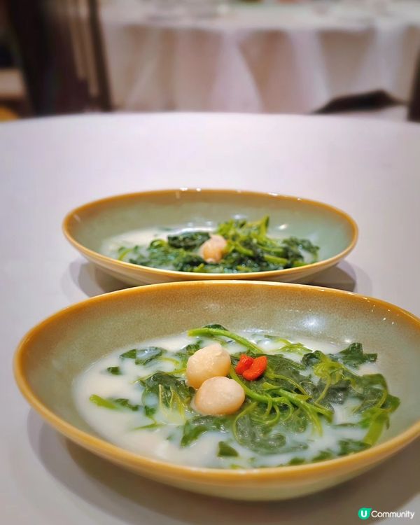 銅鑼灣富豪金殿高質粵菜😋