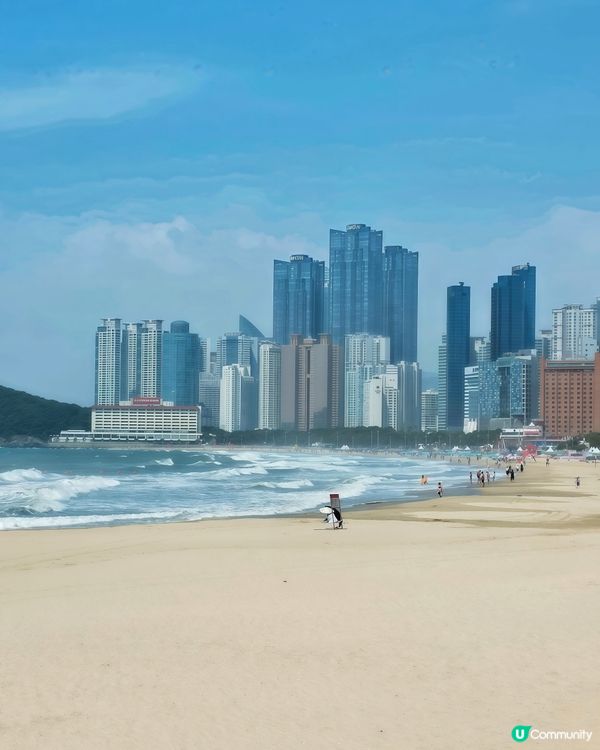 松林繡球花海！🏖️📸