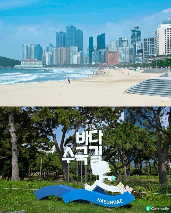 松林繡球花海！🏖️📸
