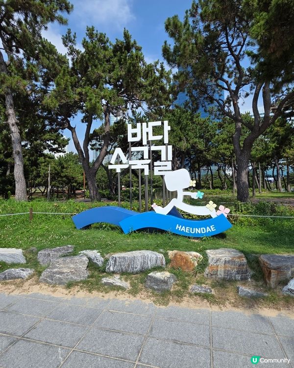 松林繡球花海！🏖️📸