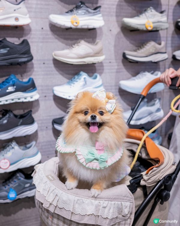 青衣城寵物友善新景象！🐱🐶🛍️