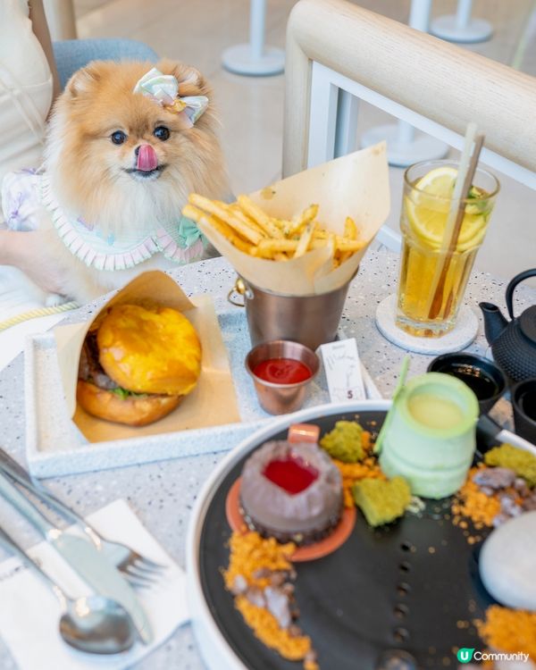 青衣城寵物友善新景象！🐱🐶🛍️
