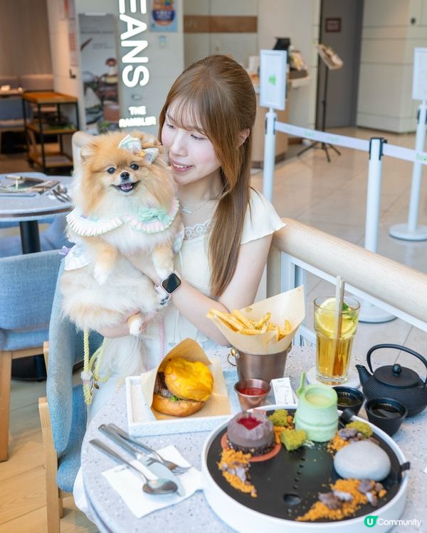 青衣城寵物友善新景象！🐱🐶🛍️