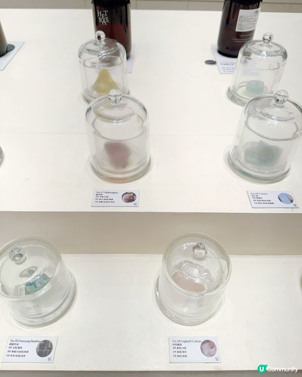 韓國赫萊詩香氣療癒指南🎀人氣推薦