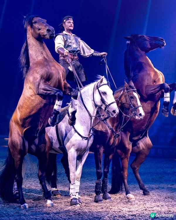 歐洲靚馬 ♥ 頂尖表演 ♥ 視覺盛宴！►《CAVALLUNA 馬術X劇場 穿梭異境》