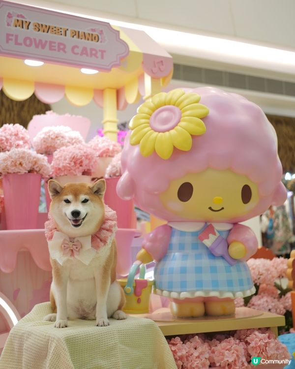 Yoho x Sanrio 小麥肌旅行團