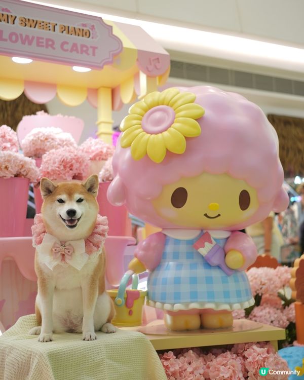 Yoho x Sanrio 小麥肌旅行團