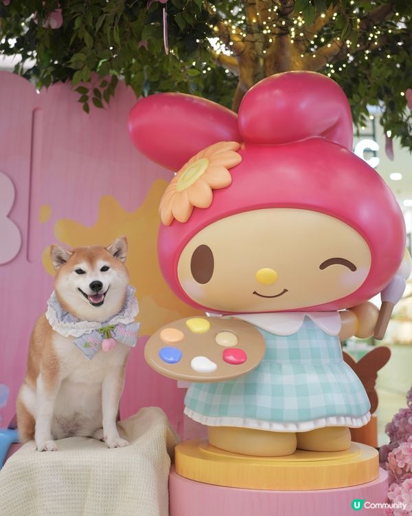 Yoho x Sanrio 小麥肌旅行團