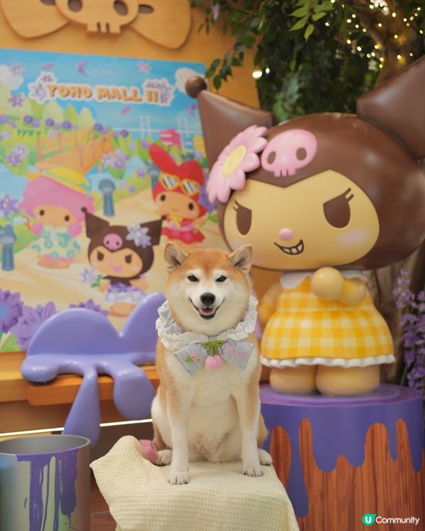 Yoho x Sanrio 小麥肌旅行團