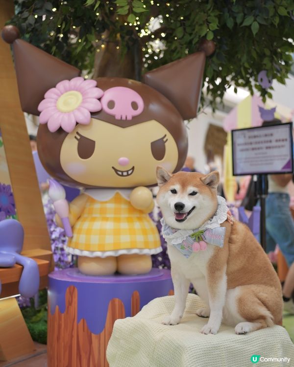 Yoho x Sanrio 小麥肌旅行團