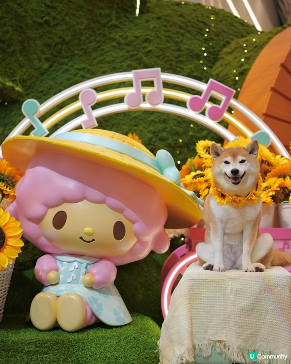 Yoho x Sanrio 小麥肌旅行團