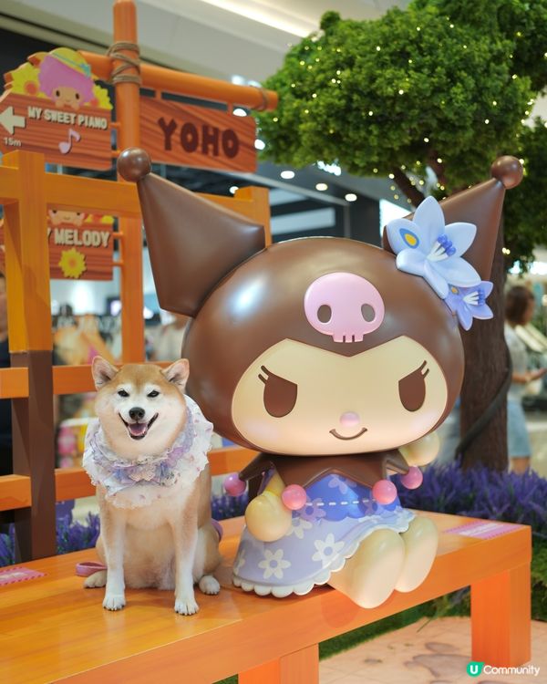 Yoho x Sanrio 小麥肌旅行團