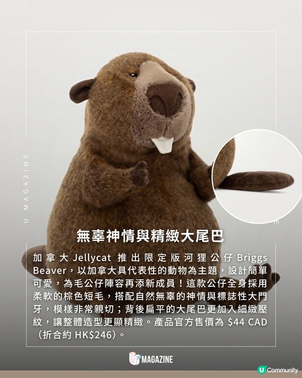 加拿大限定！Jellycat 新成員 Briggs Beaver 登場                                                      