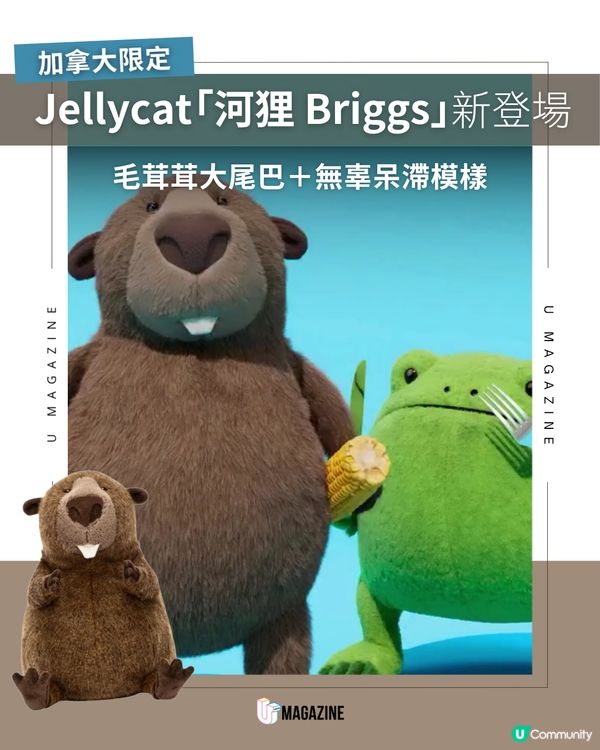 加拿大限定！Jellycat 新成員 Briggs Beaver 登場                                                      