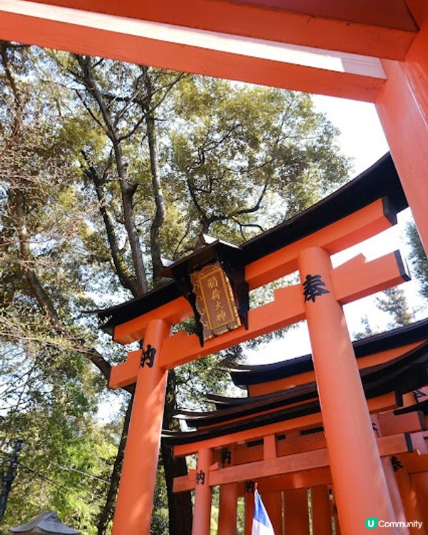 【旅遊日本】打卡必去千本鳥居 - 伏見稻荷大社