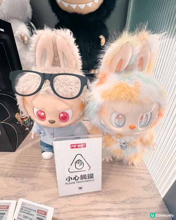 Molly珍藏公仔打卡聖地推薦📸