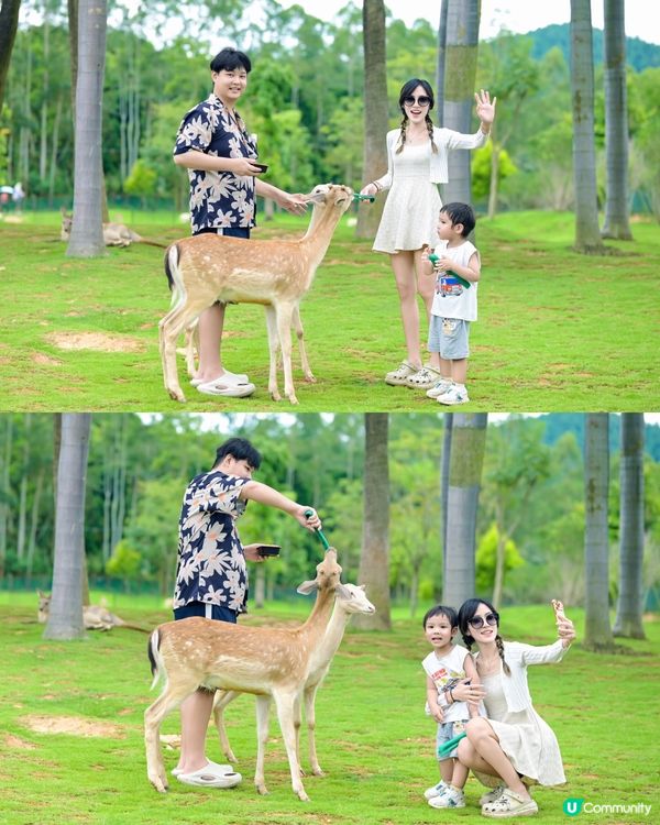 清遠長隆攝影師👨‍👩‍👧‍👦 $399兩小時