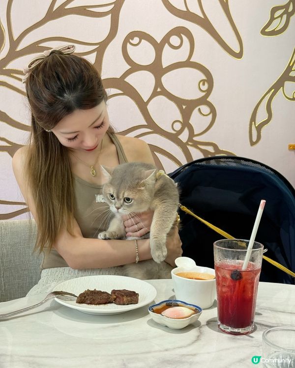 同寵物一齊去青衣城行街街🐱🐶🐾