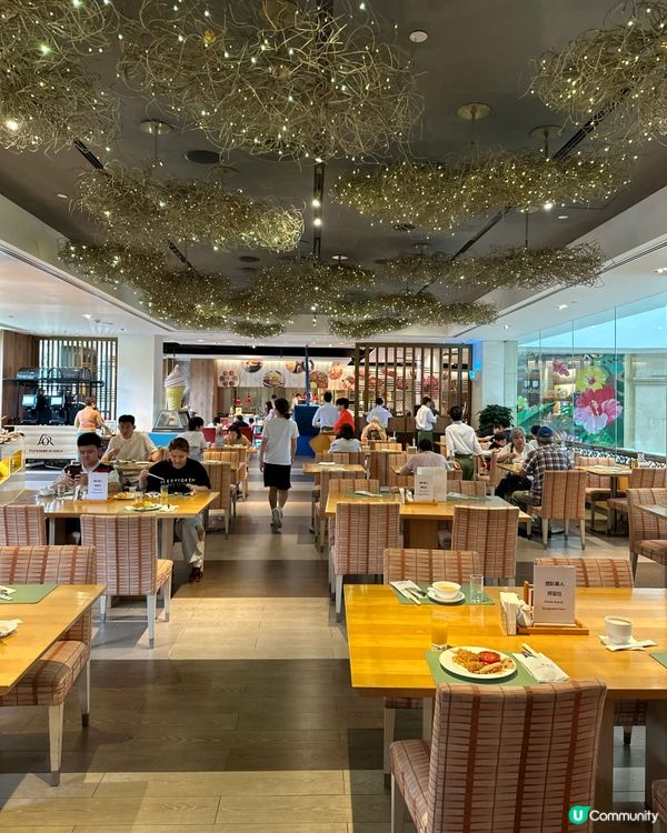 北上深圳自助餐推介😋👍，親子短線遊